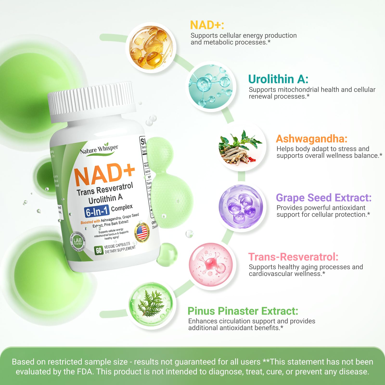 Nature Whisper NAD+ Supplement 620mg | 6-in-1 Complex with Resveratrol, Ashwagandha & Urolithin A - Daily Energy Stack for Focus, Brain Fog & Healthy Aging - 60 Capsules - Maple Wellness Supplements