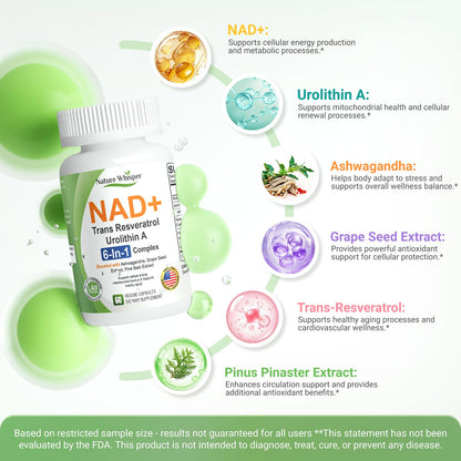 Nature Whisper NAD+ Supplement 620mg | 6-in-1 Complex with Resveratrol, Ashwagandha & Urolithin A - Daily Energy Stack for Focus, Brain Fog & Healthy Aging - 60 Capsules - Maple Wellness Supplements