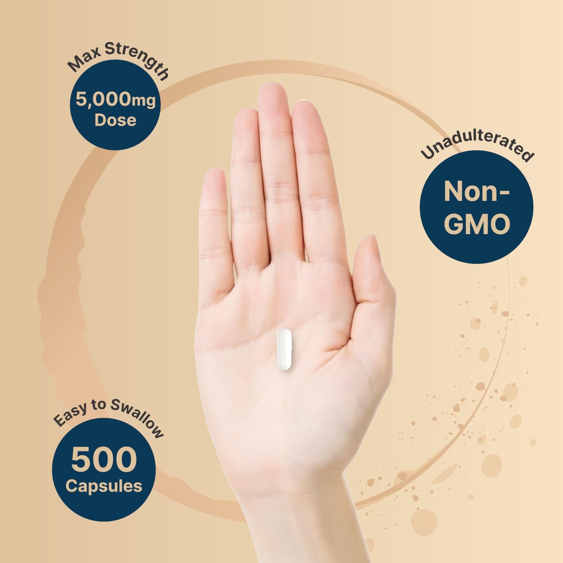 NatureBell Creatine Monohydrate Capsules 5,000mg Per Serving, 500 Count | Micronized, Unflavored Creatine Pills | Pre-Workout & Muscle Strength Support - Maple Wellness Supplements