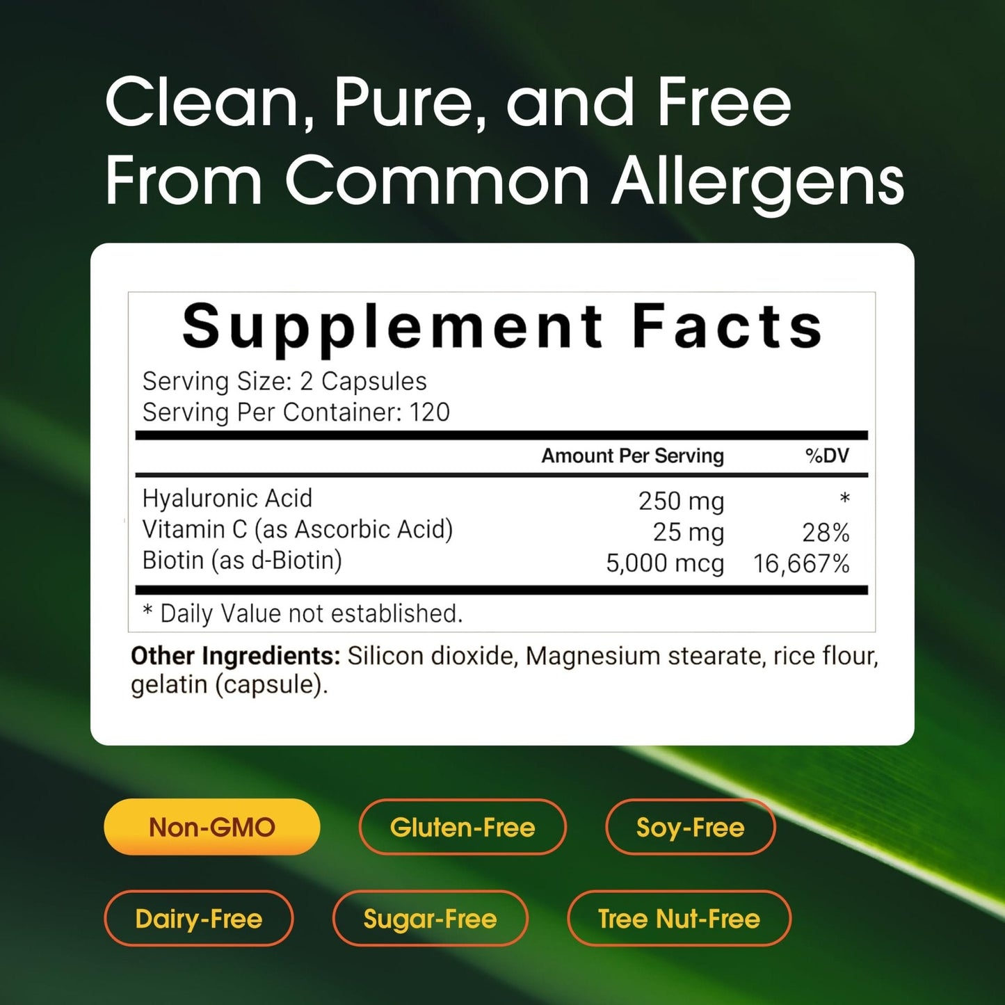 NatureBell Hyaluronic Acid 250mg - 240 Capsules - 250mg Hyaluronic Acid, 5000mcg Biotin & 25 mg Vitamin C - Supports Skin - Maple Wellness Supplements