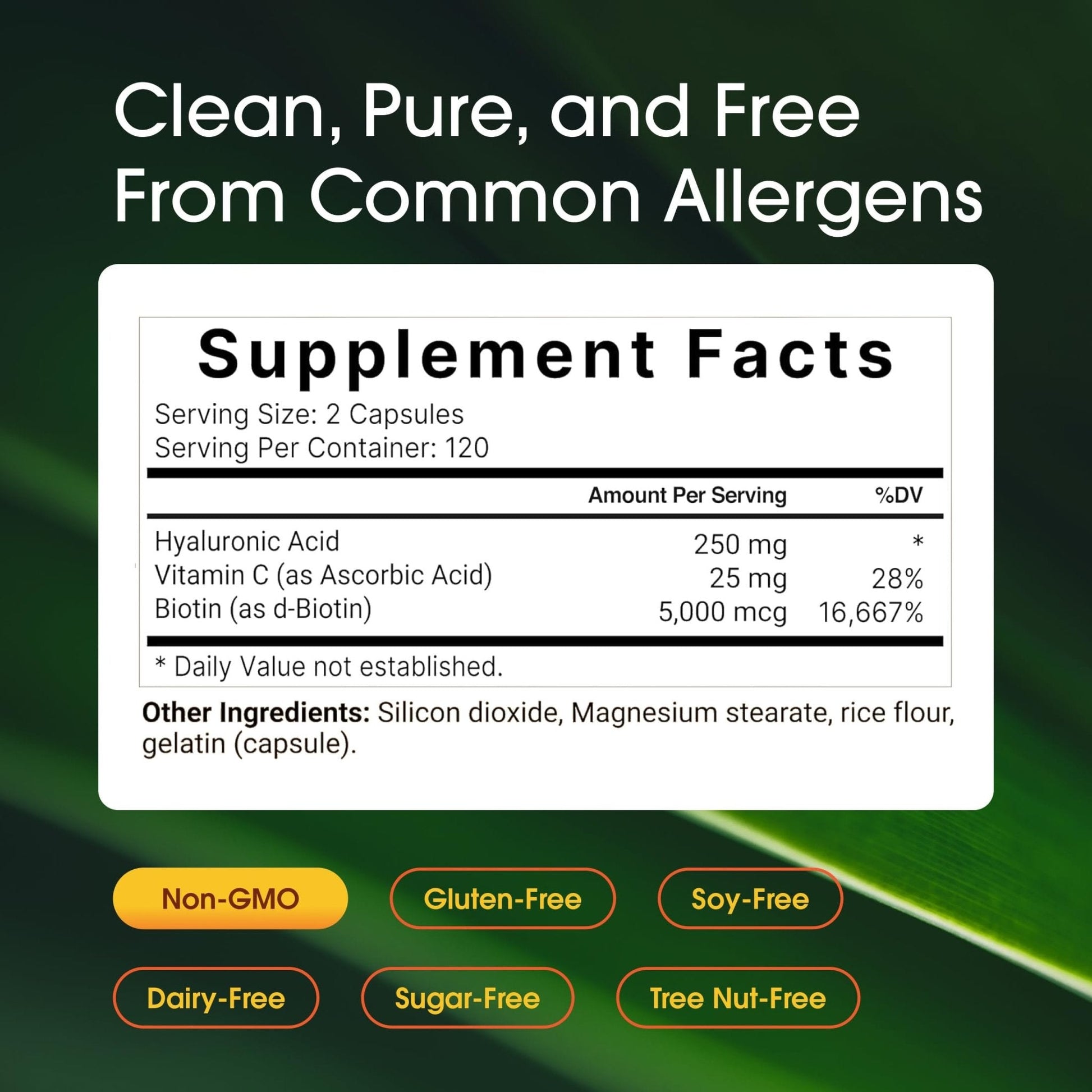 NatureBell Hyaluronic Acid 250mg - 240 Capsules - 250mg Hyaluronic Acid, 5000mcg Biotin & 25 mg Vitamin C - Supports Skin - Maple Wellness Supplements
