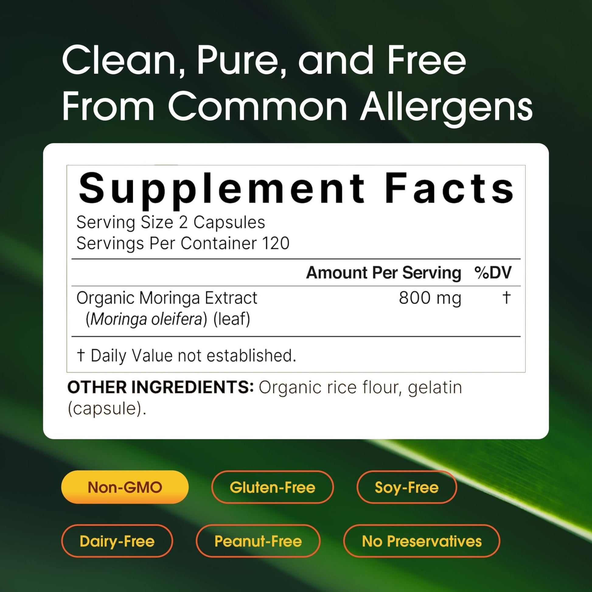 NatureBell Moringa - 240 Capsules - Organic Moringa for Immune, Energy & Skin Health Support - Green Superfood Properties - Maple Wellness Supplements