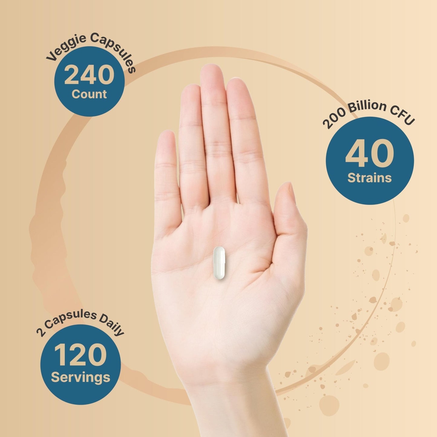 NatureBell Probiotic 200 Billion CFU – 40 Strains Per Serving | 240 Veggie Capsules with Prebiotics and Probiotics – Full Spectrum Complex with Enzymes - Maple Wellness Supplements