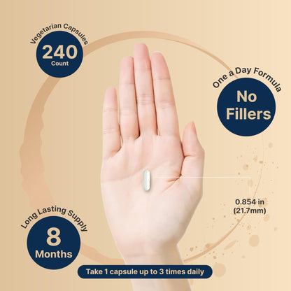 Naturebell Pure Magnesium Glycinate 500mg, 240 Veggie Capsules | 100% Chelated & Purified – 3rd Party Tested, Vegan Friendly, Non-GMO, Filler Free - Maple Wellness Supplements