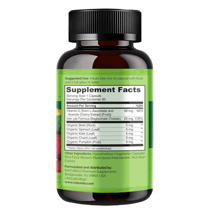 NATURELO Vegan Iron Supplement with Vitamin C and Organic Whole Foods - Gentle Iron Pills for Women & Men with Iron Deficiency Including Pregnancy - Maple Wellness Supplements