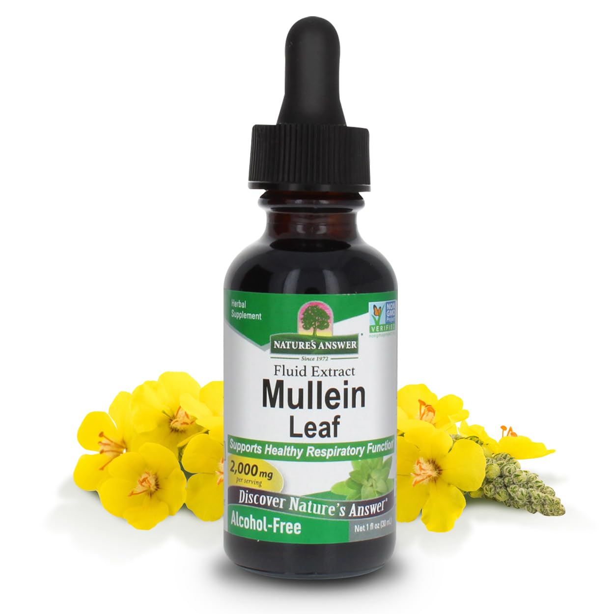 Nature's Answer Mullein Herb - Mullein Leaf Extract for Lungs - Alcohol Free, Non GMO, Made in USA - Supports Respiratory Function & Promotes Healthy Lungs - Maple Wellness Supplements