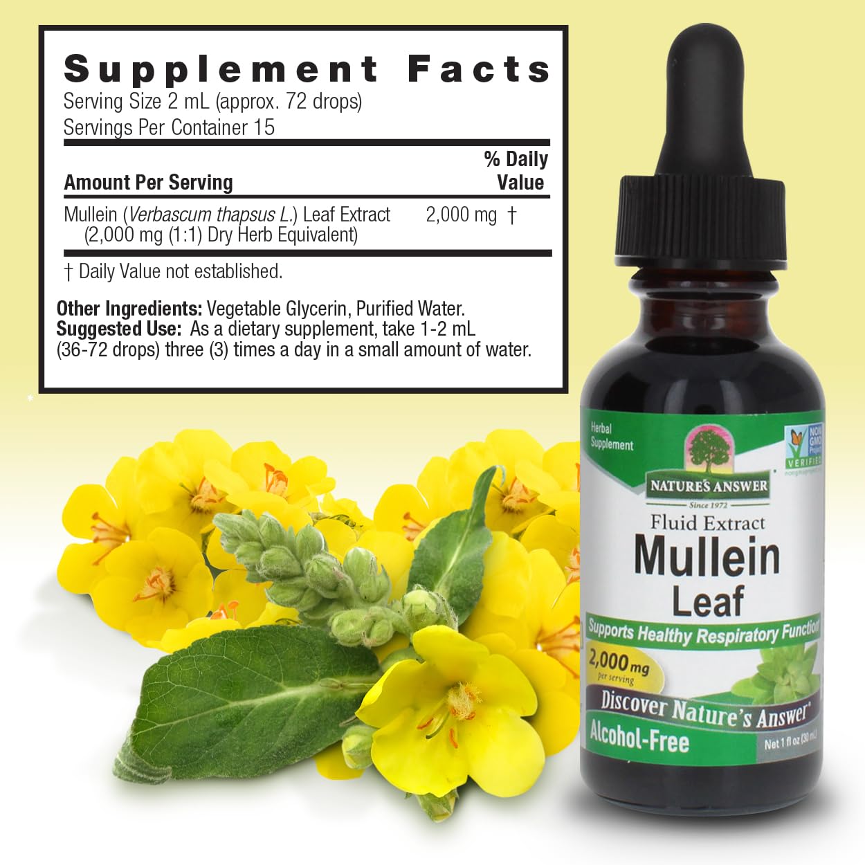 Nature's Answer Mullein Herb - Mullein Leaf Extract for Lungs - Alcohol Free, Non GMO, Made in USA - Supports Respiratory Function & Promotes Healthy Lungs - Maple Wellness Supplements
