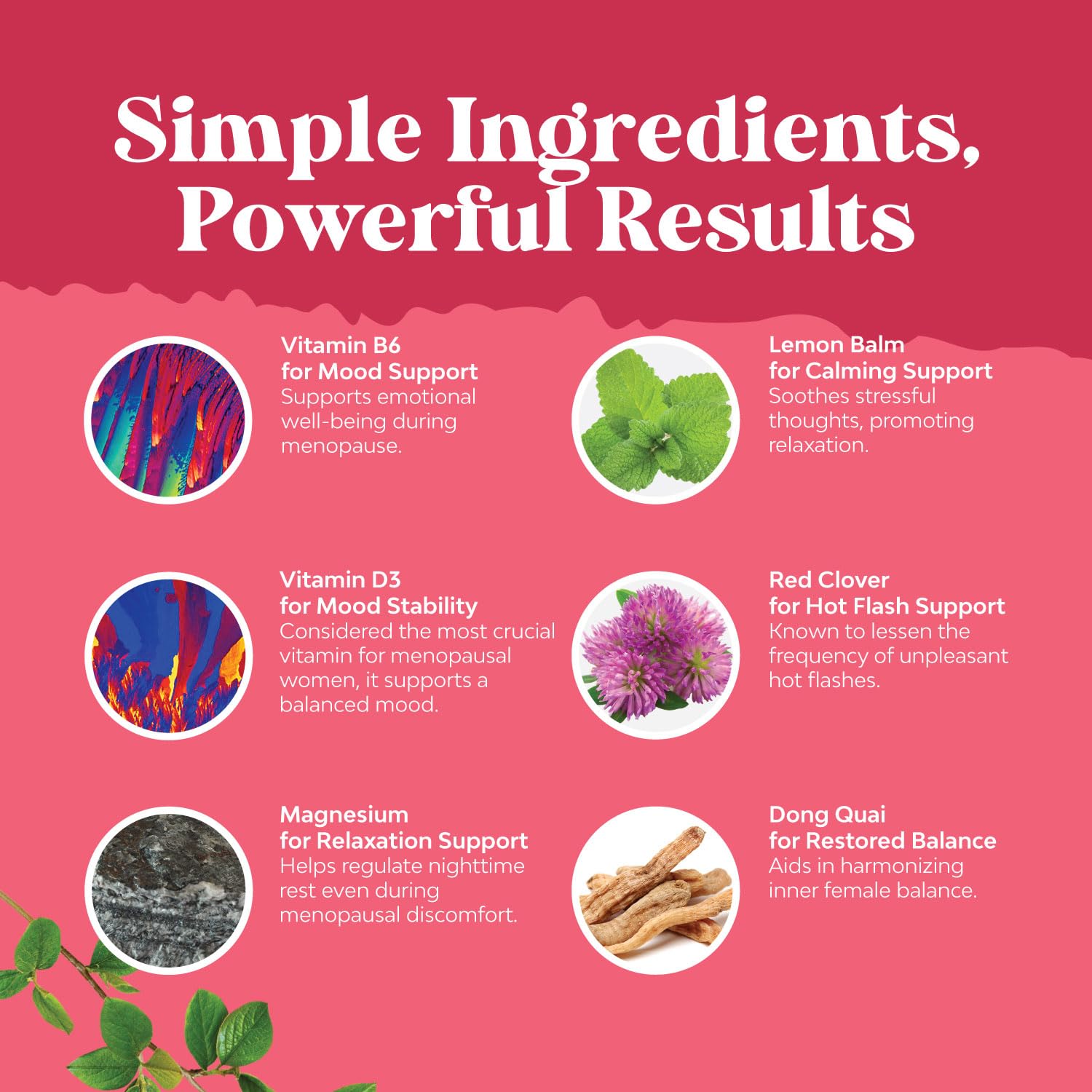 Natures Craft Complete Herbal Menopause Supplement for Women - Female Hormone Balance Capsules for Night Sweats Hot Flashes & Mood Swings with Dong Quai - Maple Wellness Supplements