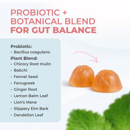 Nature’s NutriWave PrimeBiome Probiotic Gummies – Plant-Based Blend with Inulin, Lion’s Mane, Ginger & More– Non-GMO, No Stimulants, GMP Certified – 30 Gummies, 6 Month Supply - Maple Wellness Supplements
