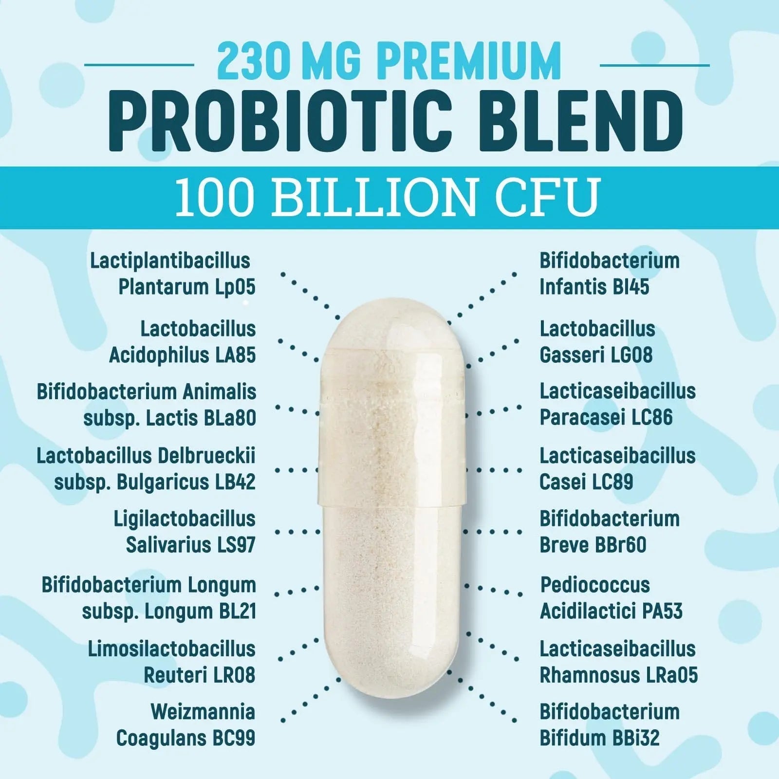 Nature's Physician Probiotics - 100 Billion CFU - 16 Strains + Prebiotics - Best Probiotic Supplement for Women & Men - Supports Immune, Digestive Health, Occasional Constipation & Gas - 60 Capsules - Maple Wellness Supplements