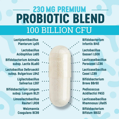 Nature's Physician Probiotics - 100 Billion CFU - 16 Strains + Prebiotics - Best Probiotic Supplement for Women & Men - Supports Immune, Digestive Health, Occasional Constipation & Gas - 60 Capsules - Maple Wellness Supplements