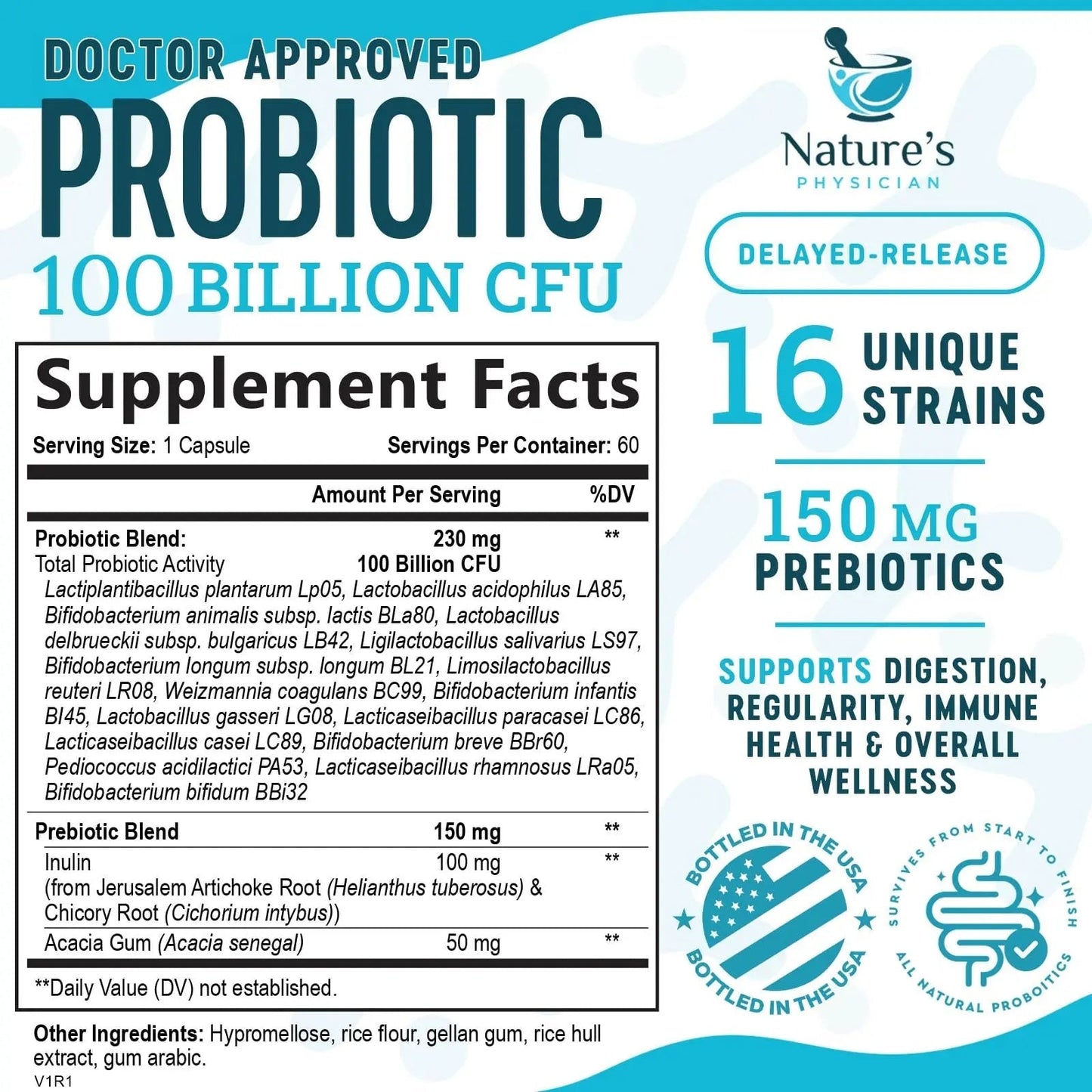 Nature's Physician Probiotics - 100 Billion CFU - 16 Strains + Prebiotics - Best Probiotic Supplement for Women & Men - Supports Immune, Digestive Health, Occasional Constipation & Gas - 60 Capsules - Maple Wellness Supplements
