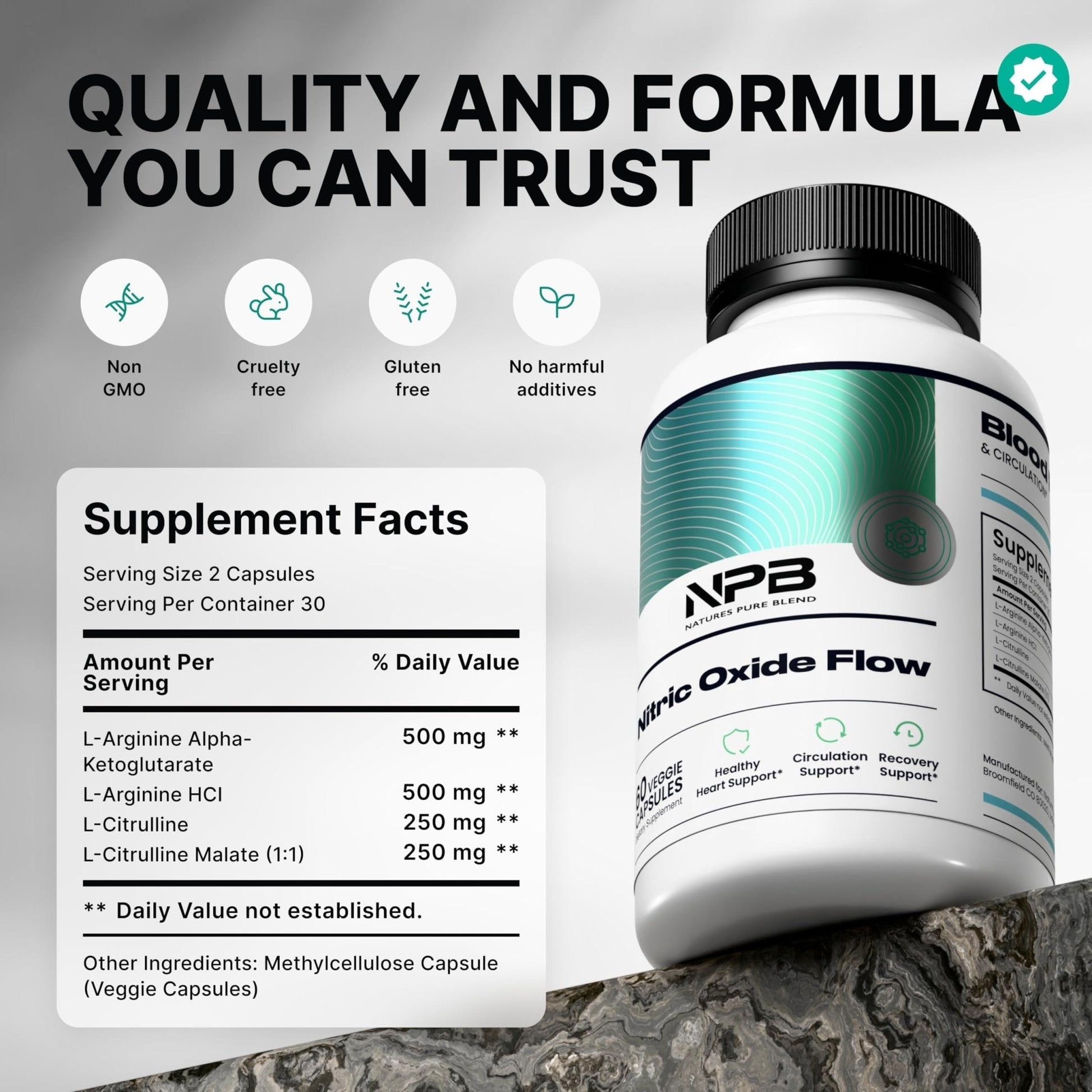 Nature's Pure Blend Nitric Oxide Supplements for Men – L-Arginine L-Citrulline – Heart Support & Flow Circulation Booster – 1500MG L Arginine and L Citrulline, Preworkout, Bodybuilding - Maple Wellness Supplements