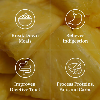 Nature's Sunshine Food Enzymes - Digestive Support with Prebiotics and Probiotics for Gut Health - Digestive Enzyme Supplement for Digestive Health - Maple Wellness Supplements