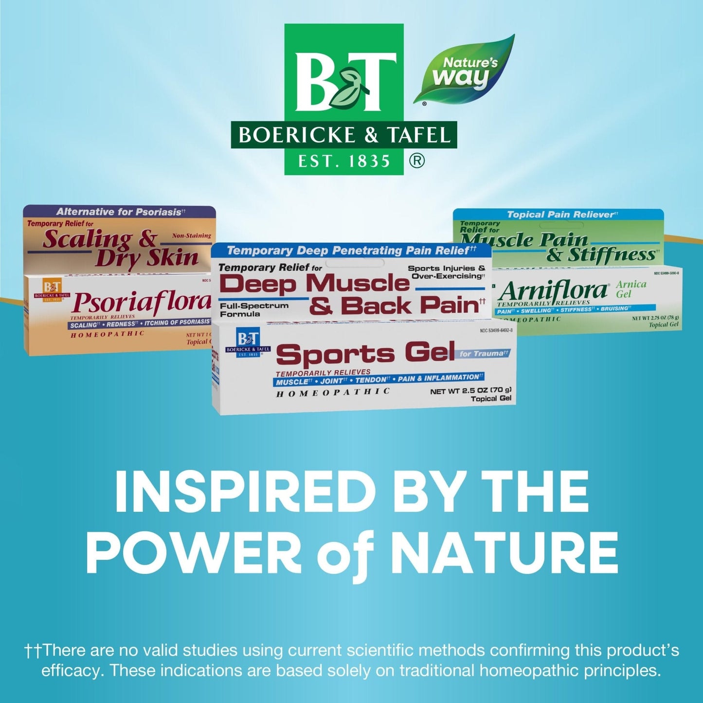 Nature's Way Boericke & Tafel Sports Gel, Relief for Deep Muscle, Joint, Tendon, & Back Pain and Inflammation, Homeopathic, 2.5 oz - Maple Wellness Supplements