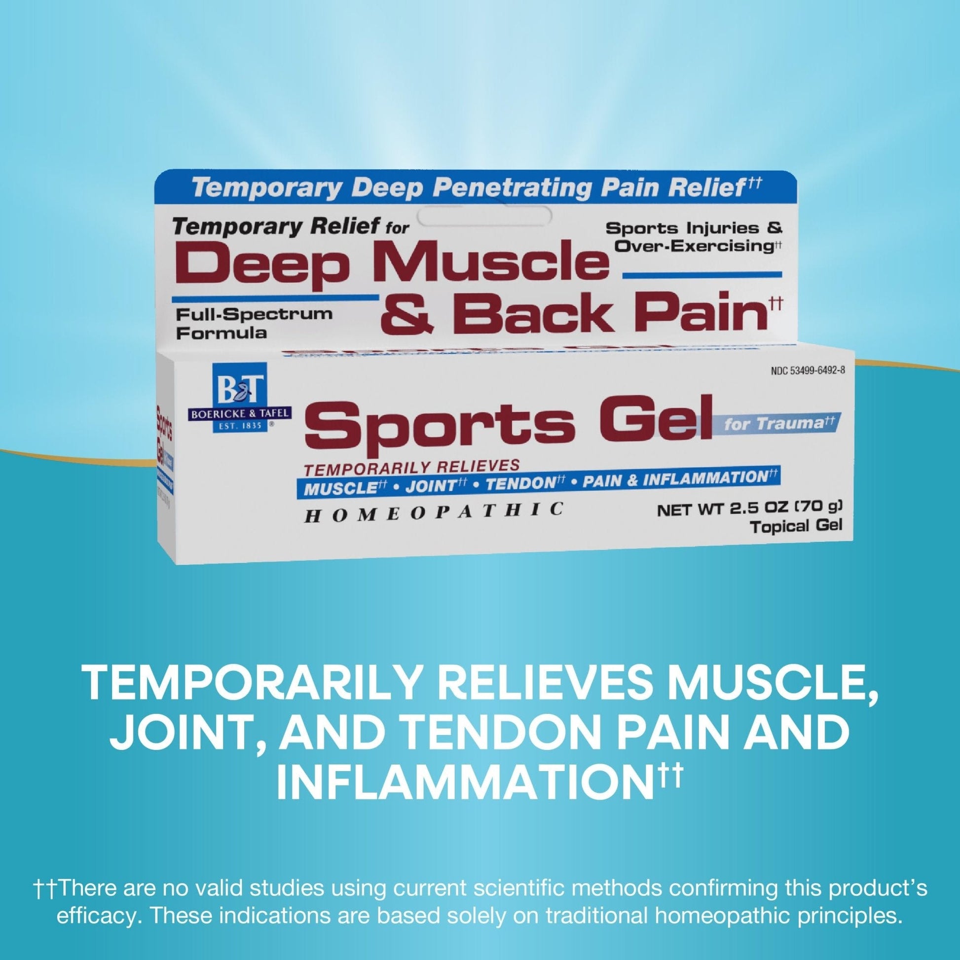 Nature's Way Boericke & Tafel Sports Gel, Relief for Deep Muscle, Joint, Tendon, & Back Pain and Inflammation, Homeopathic, 2.5 oz - Maple Wellness Supplements