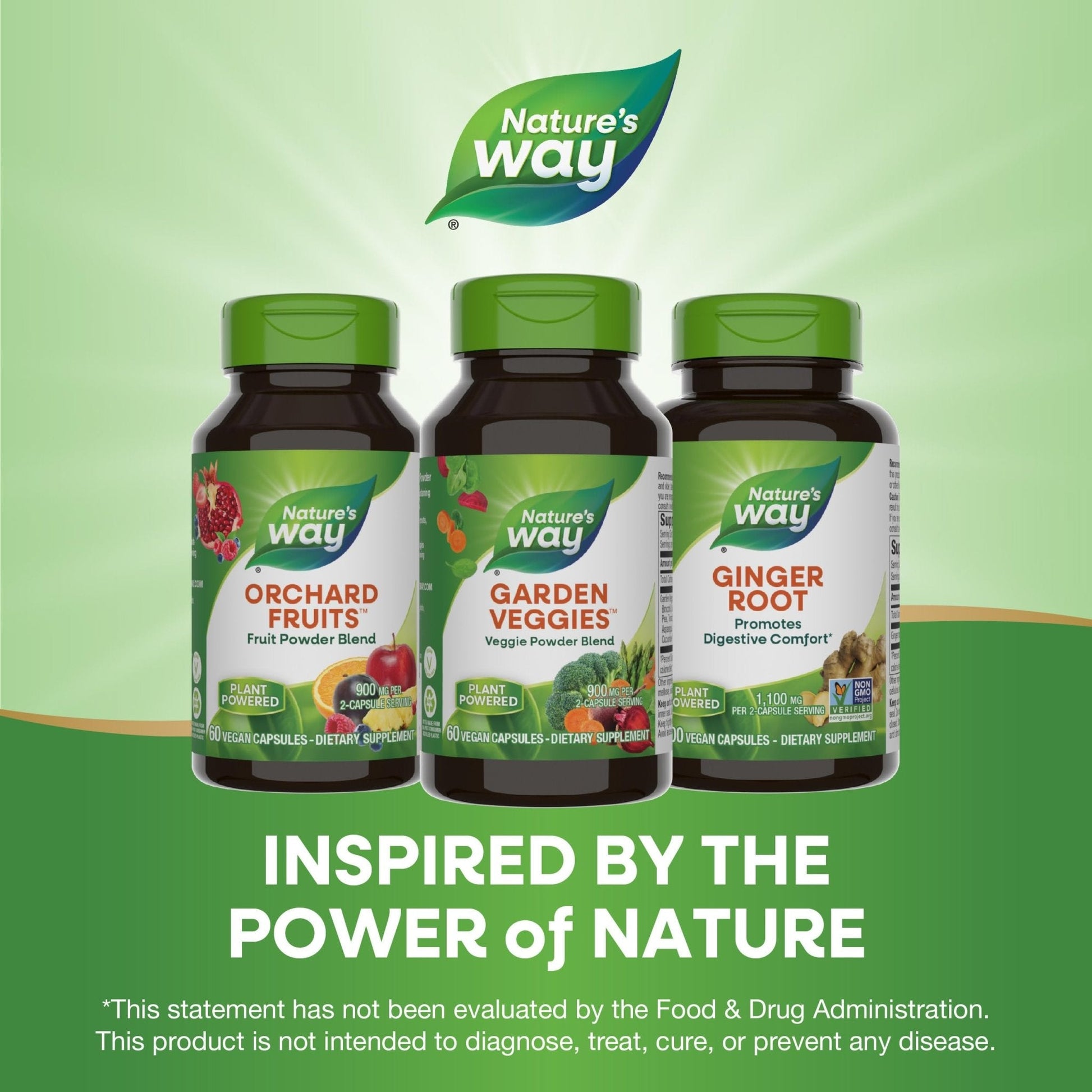 Nature’s Way Garden Veggies, Vegetable Supplement Capsules, Plant-Powered Powder Blend Made with 12 Different Vegetables, Green Superfood Veggie Blend - Maple Wellness Supplements
