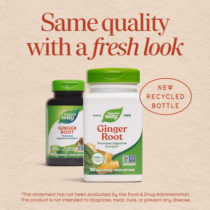 Nature’s Way Ginger Root Capsules, 1100 mg per 2-Capsule Serving Ginger Supplement for Digestive Comfort and Motion-Related Nausea Support - Maple Wellness Supplements