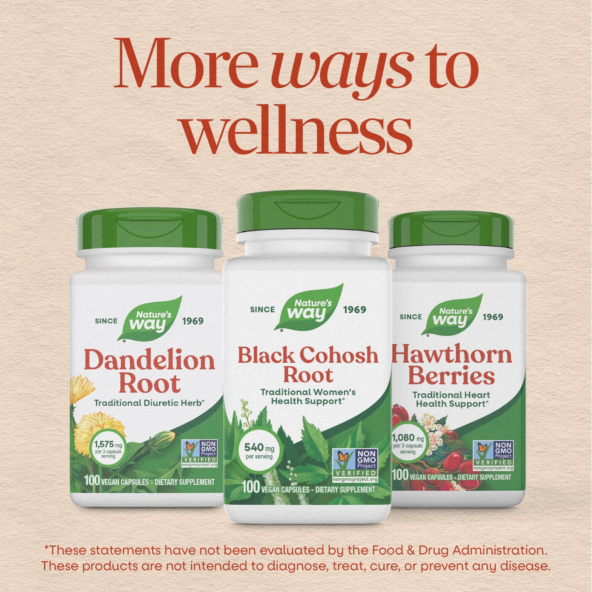 Nature’s Way Herbs Black Cohosh Root Capsules, Traditional Women’s Herbal Supplement*, Cimicifuga Racemosa Root, - Maple Wellness Supplements