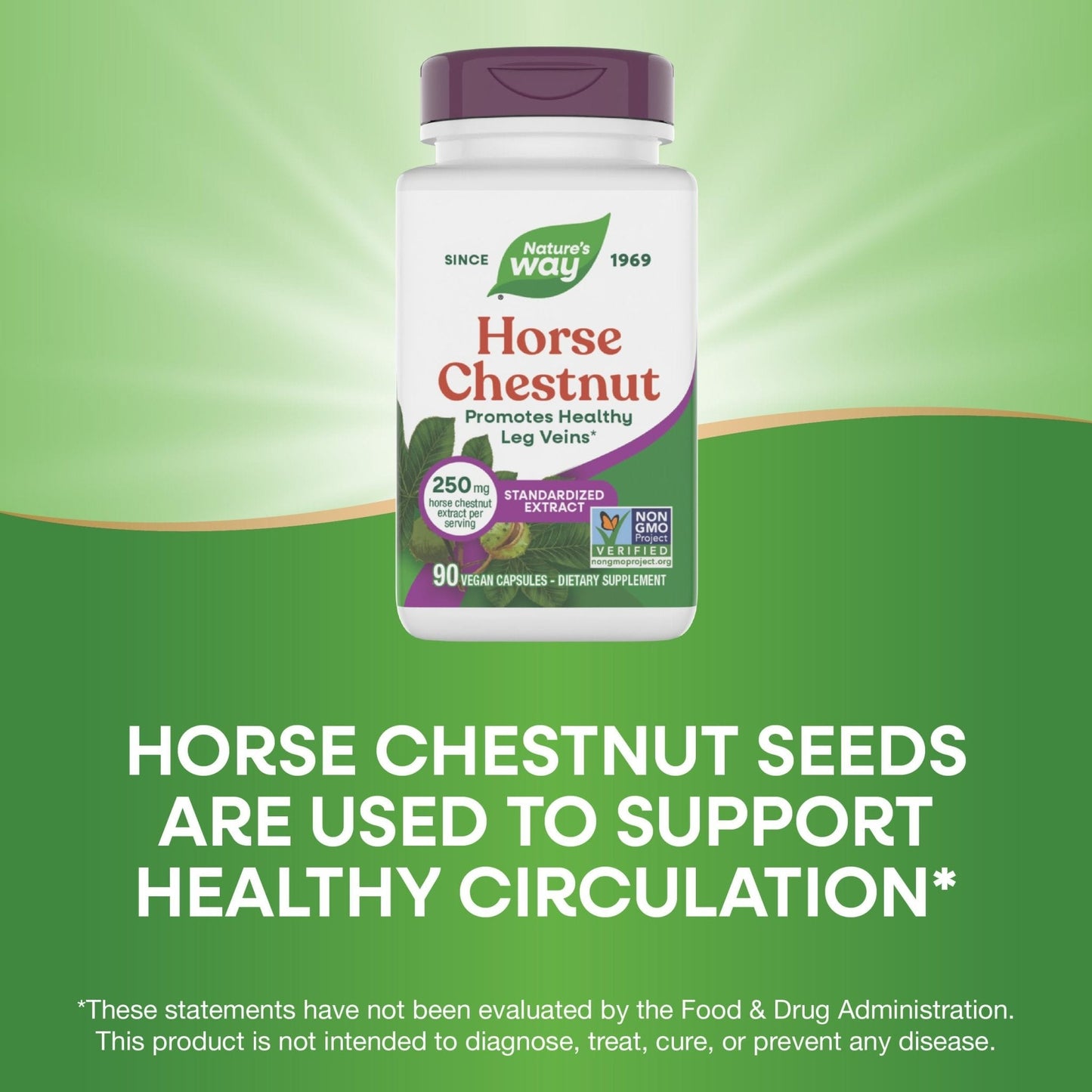 Nature's Way Horse Chestnut Extract, Premium Extract, Promotes Healthy Leg Veins*, 250 mg per Serving, Vegan - Maple Wellness Supplements