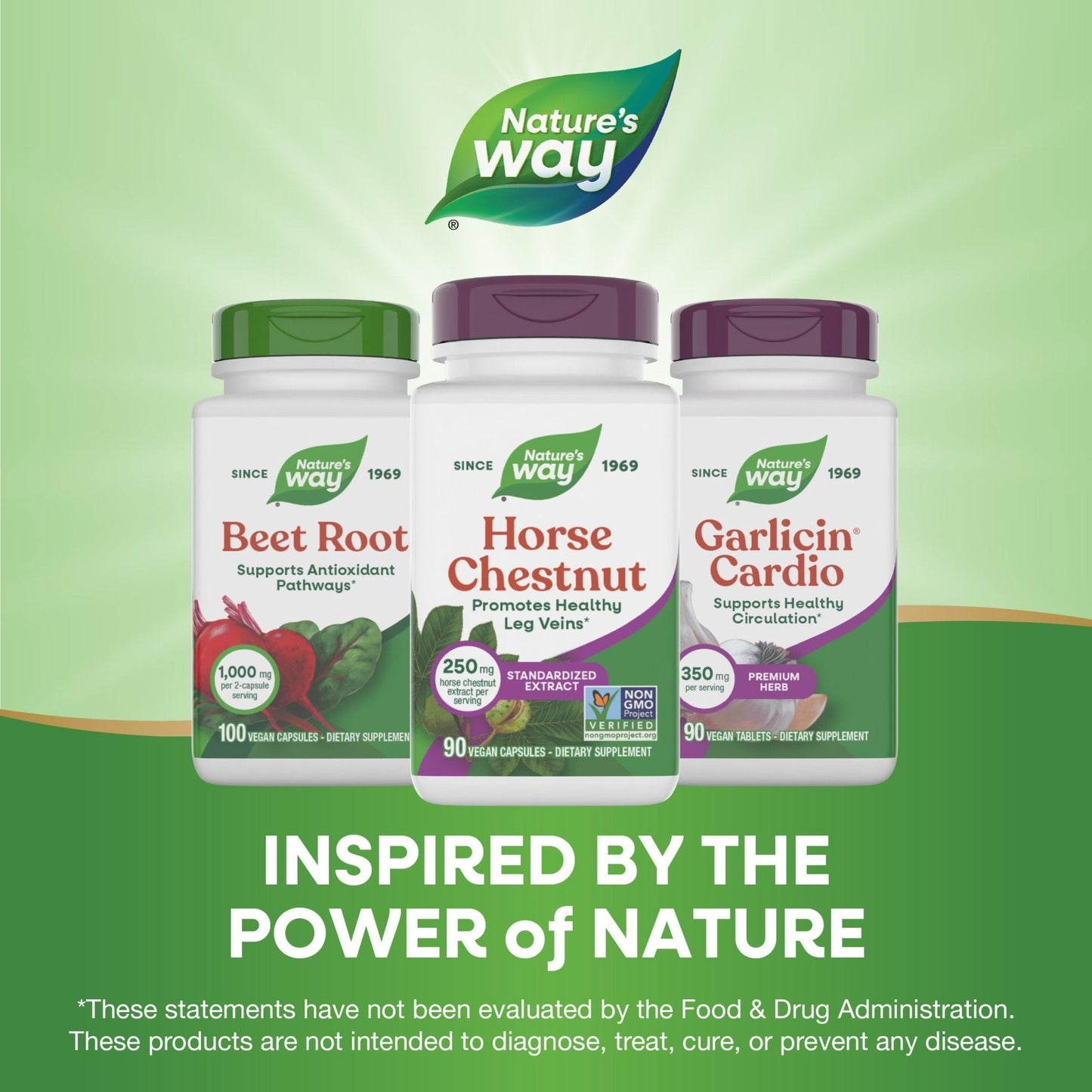 Nature's Way Horse Chestnut Extract, Premium Extract, Promotes Healthy Leg Veins*, 250 mg per Serving, Vegan - Maple Wellness Supplements