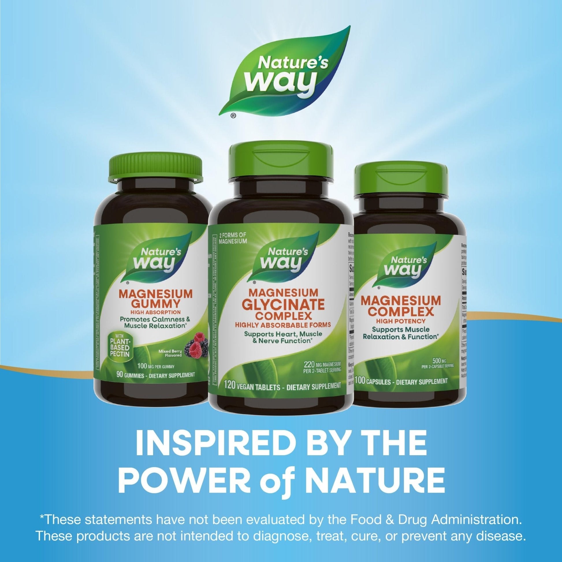 Nature's Way Magnesium Glycinate Complex, Supports Heart, Muscle, Nerve Function*, Highly Absorbable, 220 mg per 2-Tablet Serving, No Gluten, Vegan, 120 Tablets - Maple Wellness Supplements