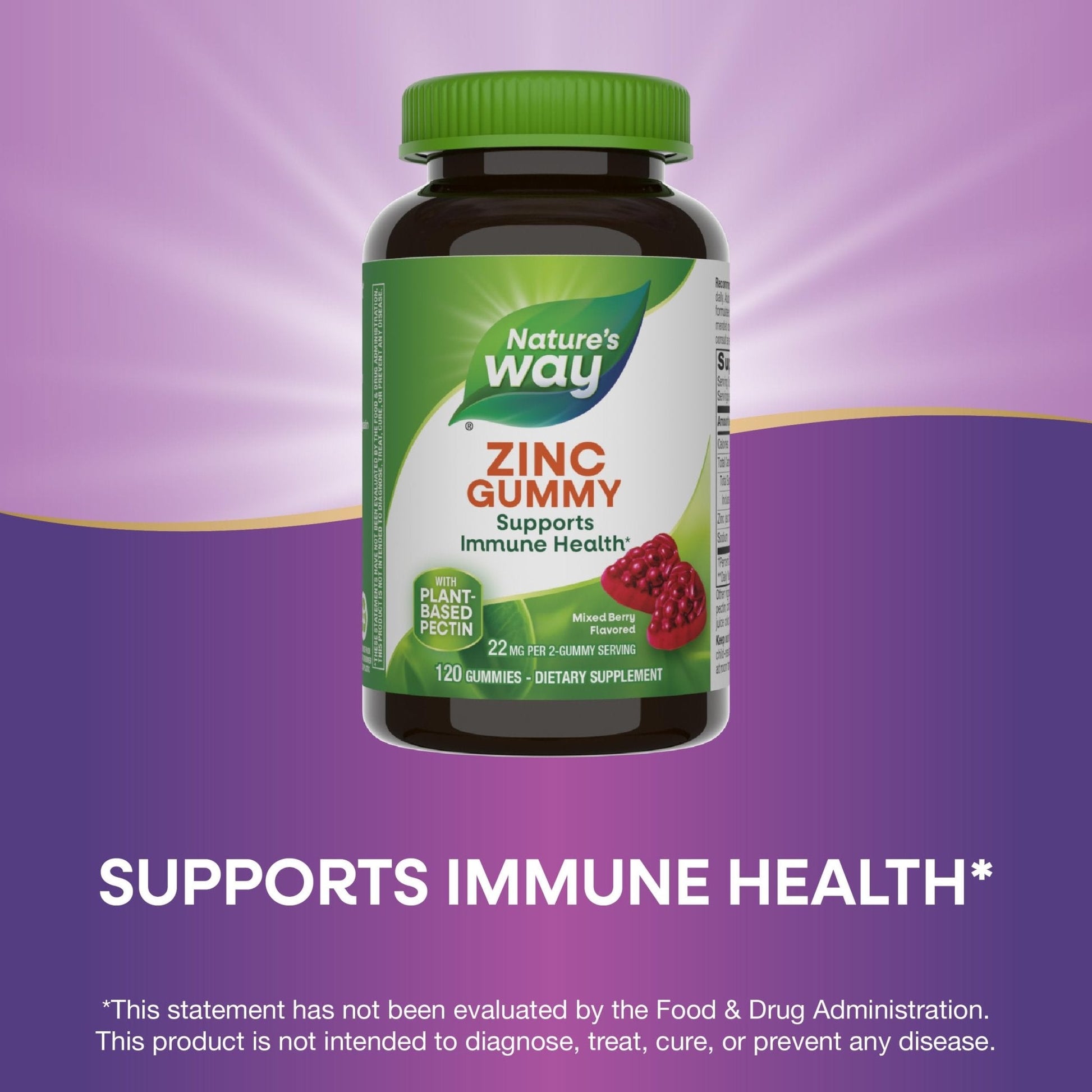 Nature's Way Zinc Gummies, Adult & Kids 9+ Immune Support Gummies*, 100% Daily Value per Serving, Mixed Berry Flavor, 120 Chews - Maple Wellness Supplements