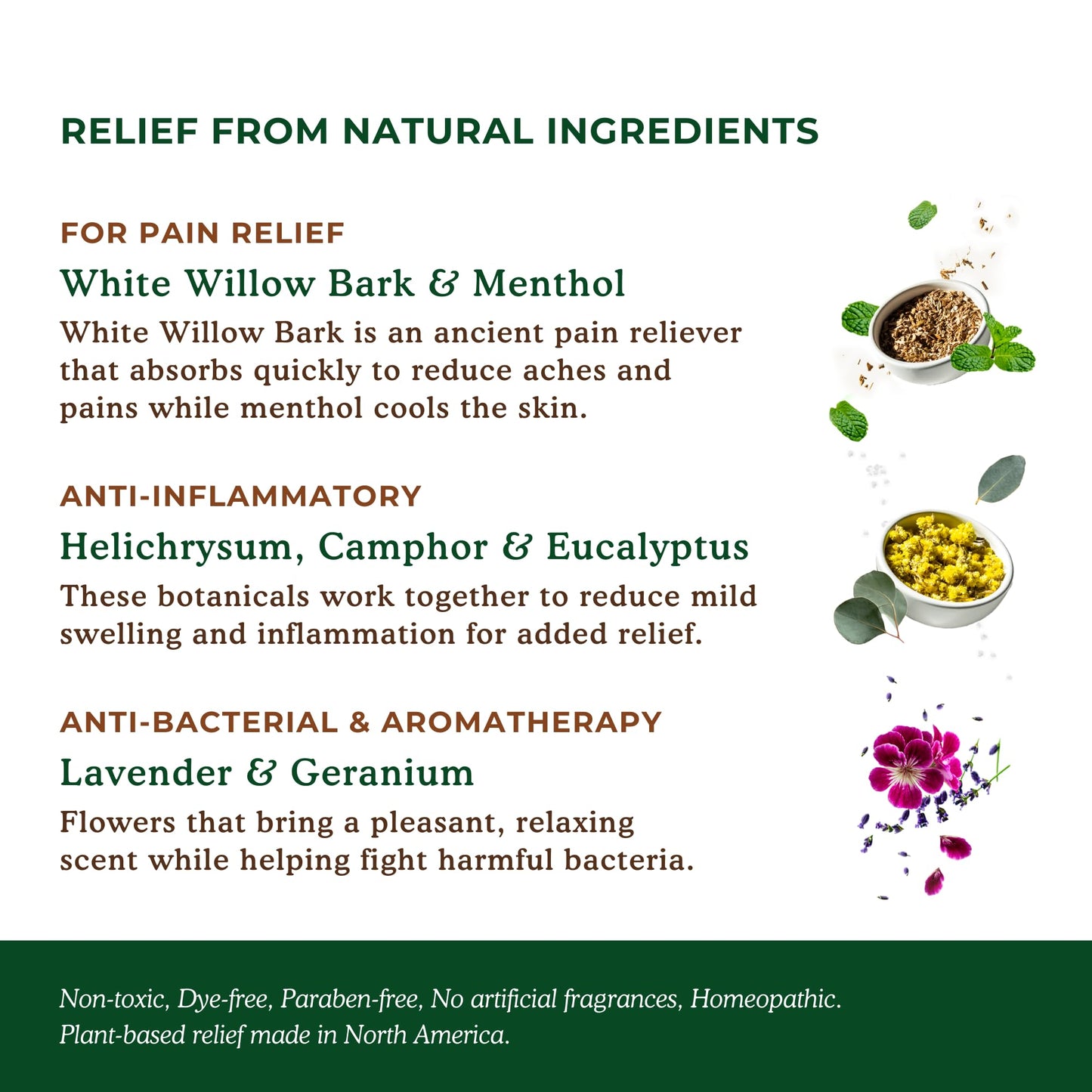 Nature's Willow Natural Pain Relief Patches for Muscles & Joints | Fast-Acting with White Willow Bark | Free from Artificial Fragrances & Dyes | 6 Patches per Pack (3-Pack) - Maple Wellness Supplements