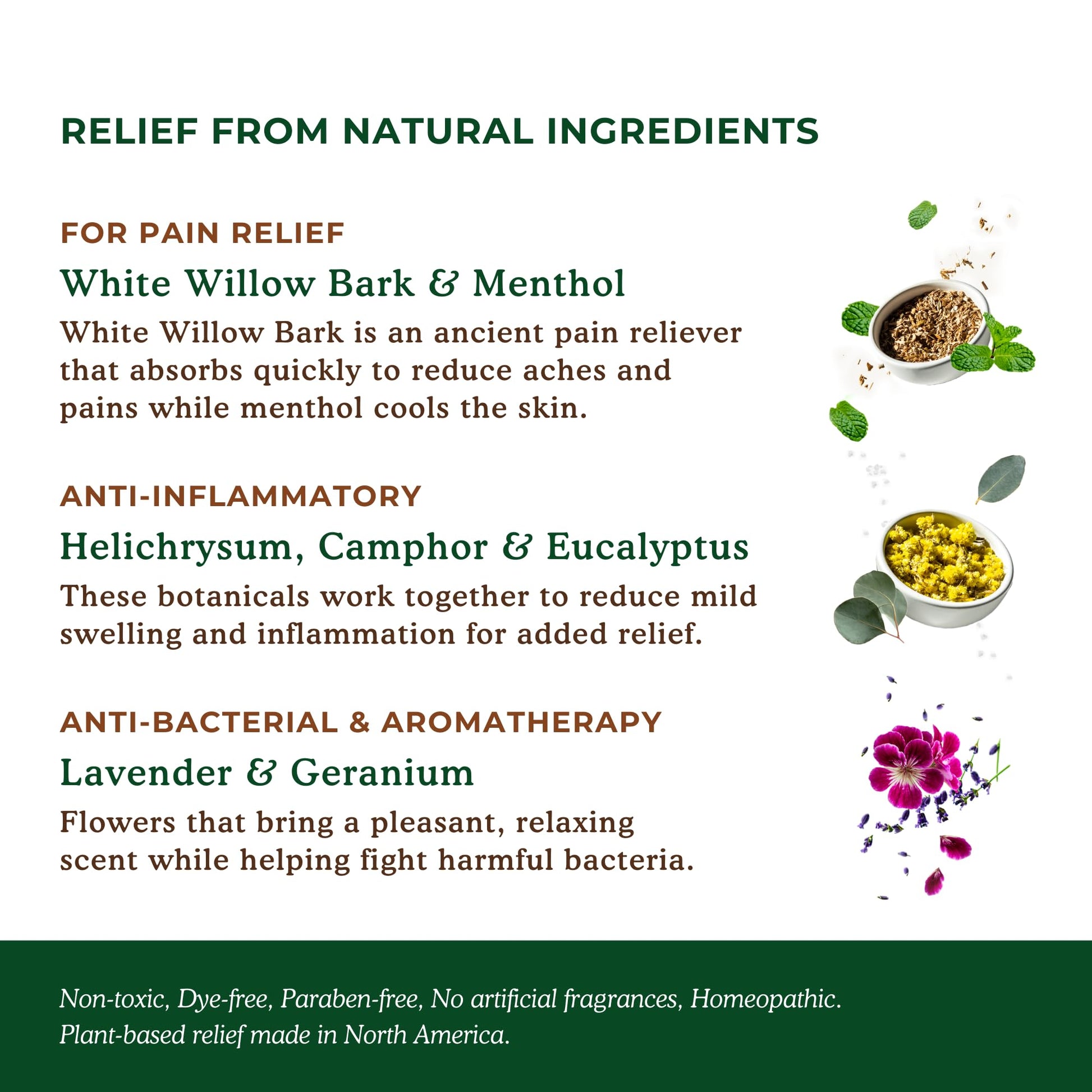 Nature's Willow Natural Pain Relief Patches for Muscles & Joints | Fast-Acting with White Willow Bark | Free from Artificial Fragrances & Dyes | 6 Patches per Pack (3-Pack) - Maple Wellness Supplements