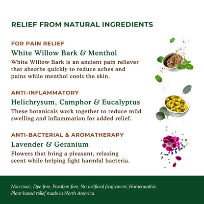 Nature's Willow Natural Pain Relief Patches for Muscles & Joints | Fast-Acting with White Willow Bark | Free from Artificial Fragrances & Dyes | 6 Patches per Pack (3-Pack) - Maple Wellness Supplements