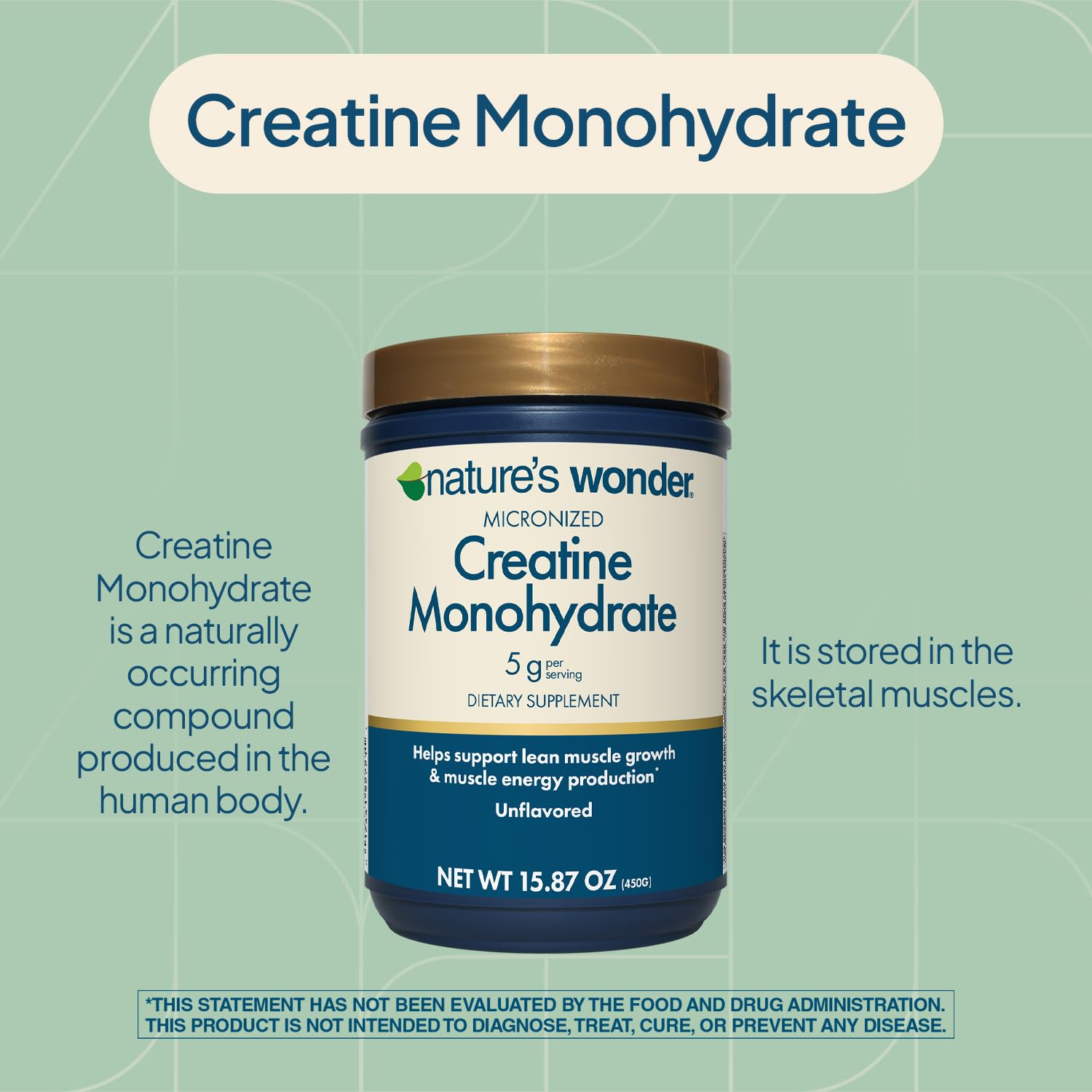 Nature's Wonder Micronized Creatine Monohydrate Powder 5g, Muscle Health, Muscle Energy Production, No Lactose, 5g of Micronized creatine Powder per Serving, 450G, 90 Servings - Maple Wellness Supplements
