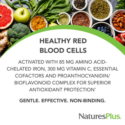 NaturesPlus Hema-Plex Iron - 60 Fast-Acting Softgels - 85 mg Iron + Vitamin C & Bioflavonoids for Healthy Red Blood Cells - Maple Wellness Supplements