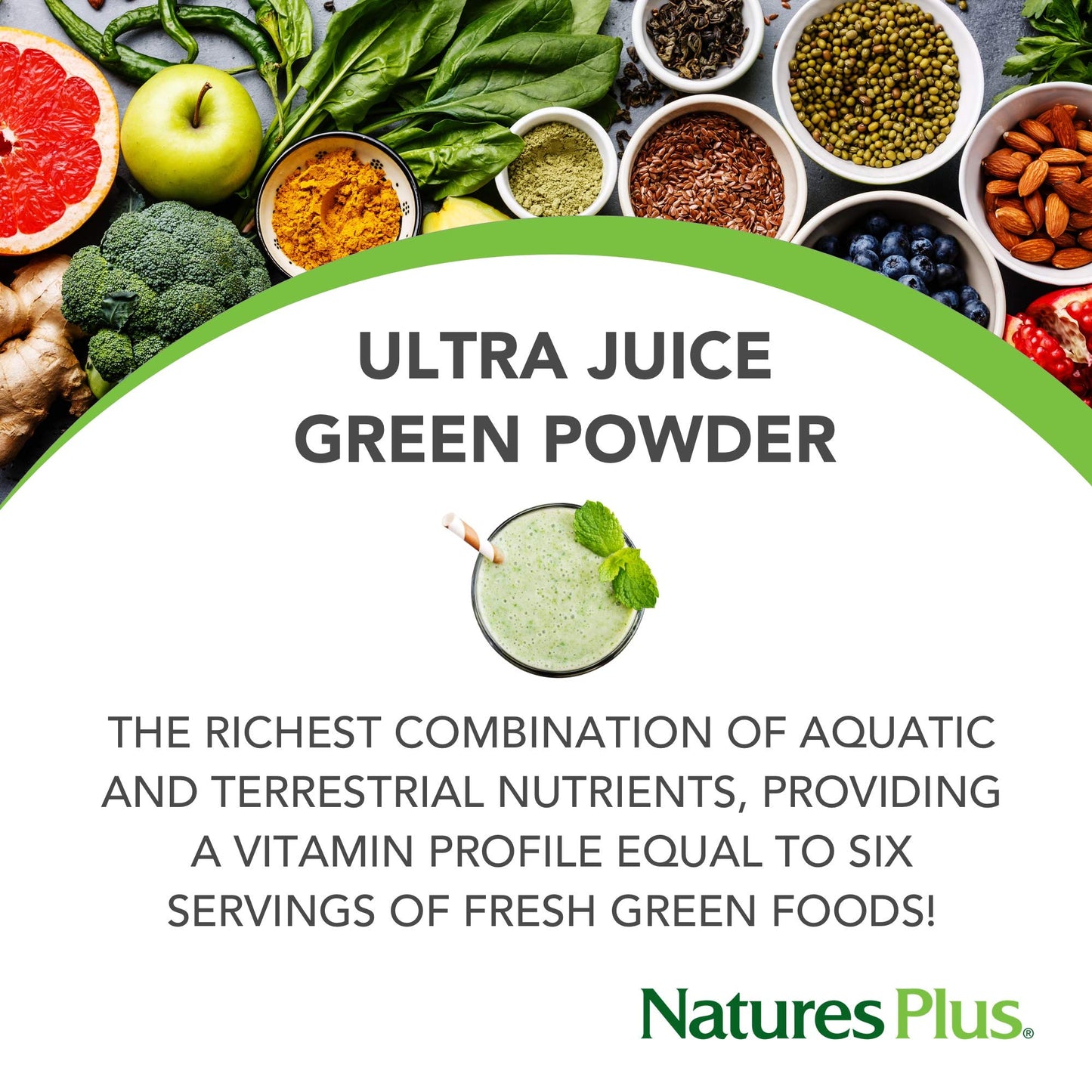 NaturesPlus Ultra Juice Green Drink - 1.32 lb - Supports Immune Health, Digestion & Energy Production - Organic, Non-GMO, Vegan, Gluten Free - 60 Servings - Maple Wellness Supplements