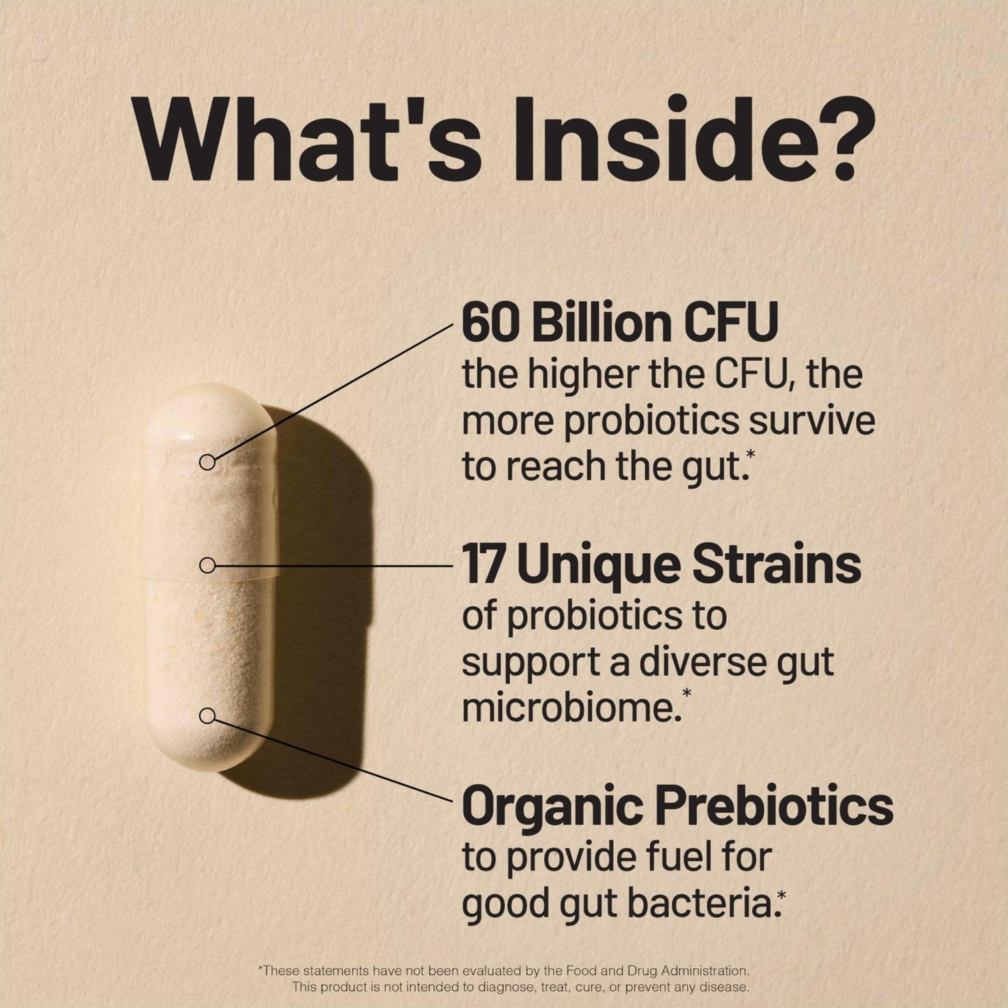 NatureWise Probiotics 60 Billion CFU - 17 Strains + Organic Prebiotics - Immune, Digestive & Gut Health Support for Women & Men - Vegetarian, Gluten-Free, - Maple Wellness Supplements