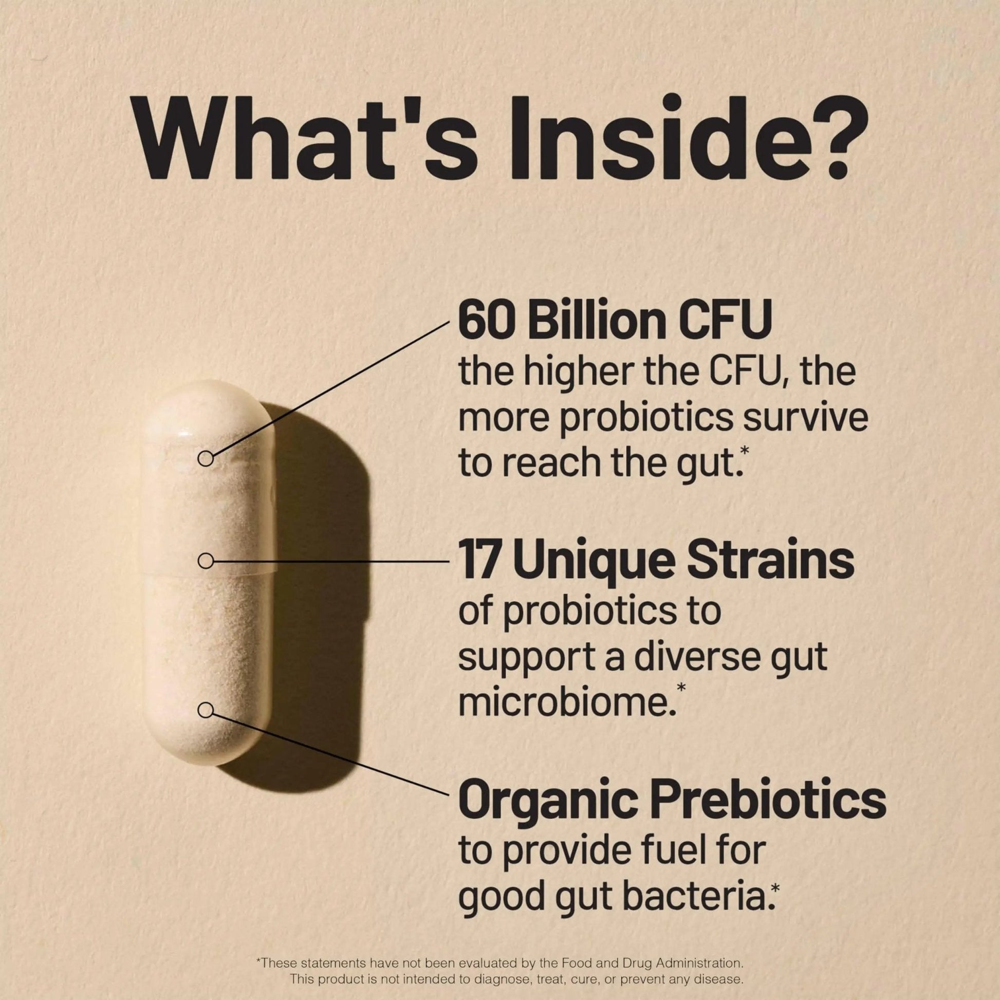 NatureWise Probiotics 60 Billion CFU - 17 Strains + Organic Prebiotics - Immune, Digestive & Gut Health Support for Women & Men - Vegetarian, Gluten-Free, Non-GMO - 30 Capsules[1-Month Supply] - Maple Wellness Supplements