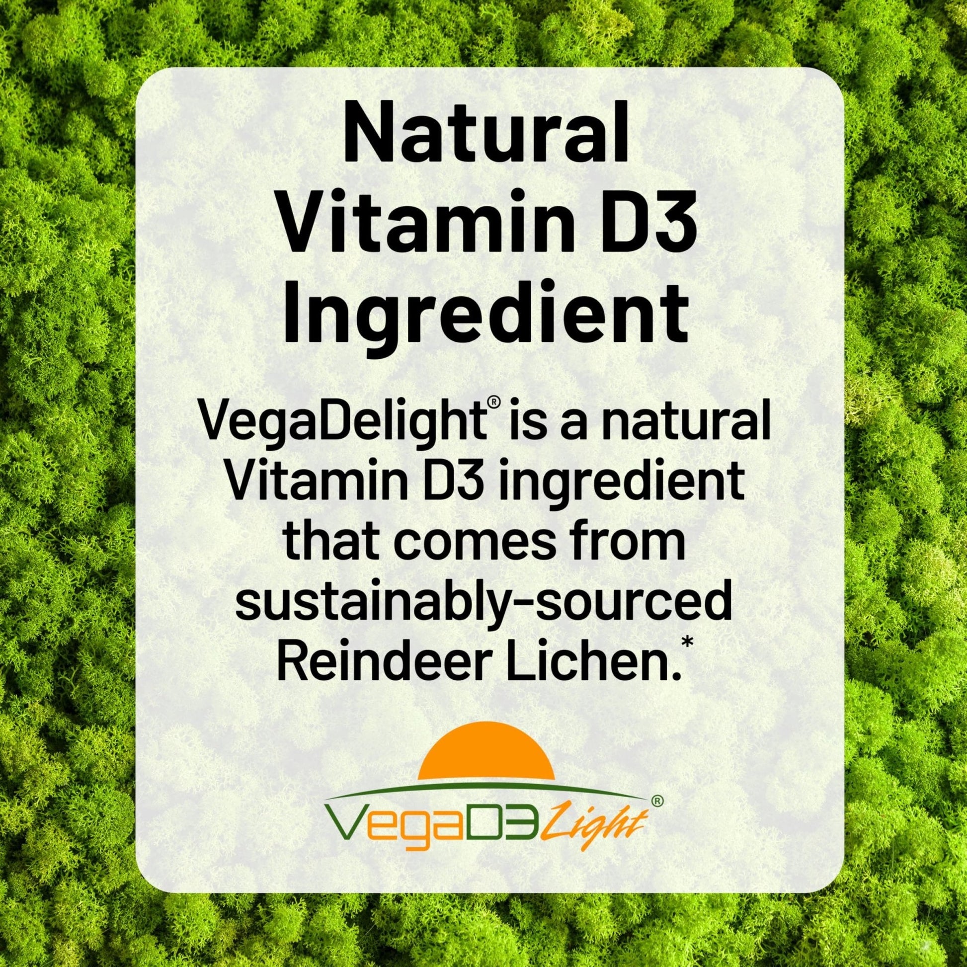 NatureWise Vegan Vitamin D3 + K2 - Natural D3 5000IU + Natural Vitamin K2 100mcg - Bone Support - High Absorption - Maple Wellness Supplements