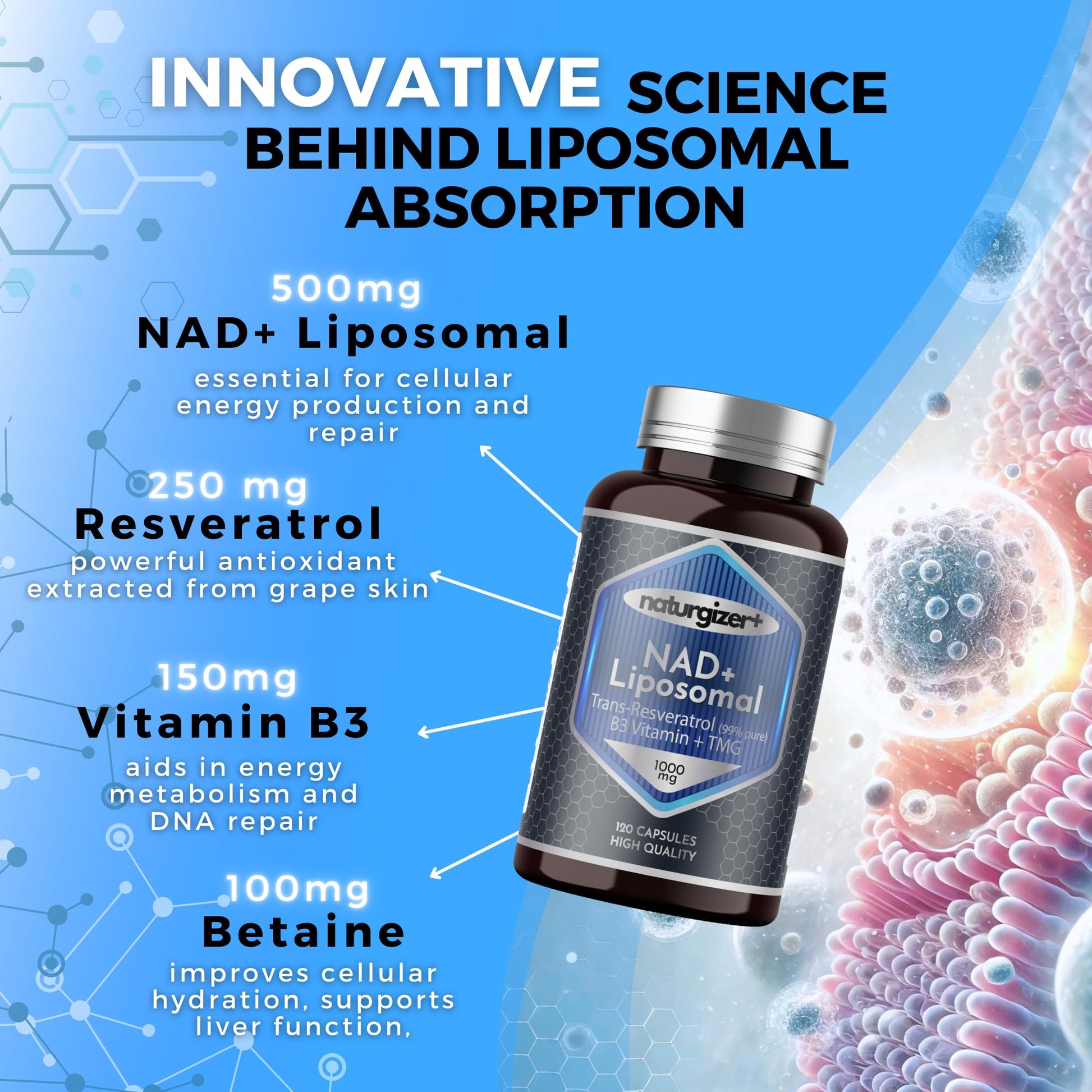 naturgizer+ Liposomal NAD+ Supplement with Resveratrol, TMG & Vitamin B3 | 4-in-1 Healthy Aging & Cellular Energy Support | High Absorption NAD Plus for Men & Women Over 40 | 120 Capsules - Maple Wellness Supplements