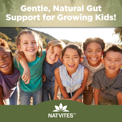 Natvites Prebiotic Kids Fiber Gummies, for Children Ages 2 & Up - Sugar Free Vegetarian Gelatin Free Non-GMO, Kids Fiber Supplements - Maple Wellness Supplements