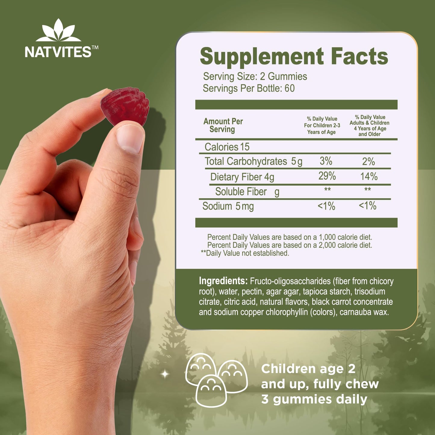 Natvites Prebiotic Kids Fiber Gummies, for Children Ages 2 & Up - Sugar Free Vegetarian Gelatin Free Non-GMO, Kids Fiber Supplements - Maple Wellness Supplements