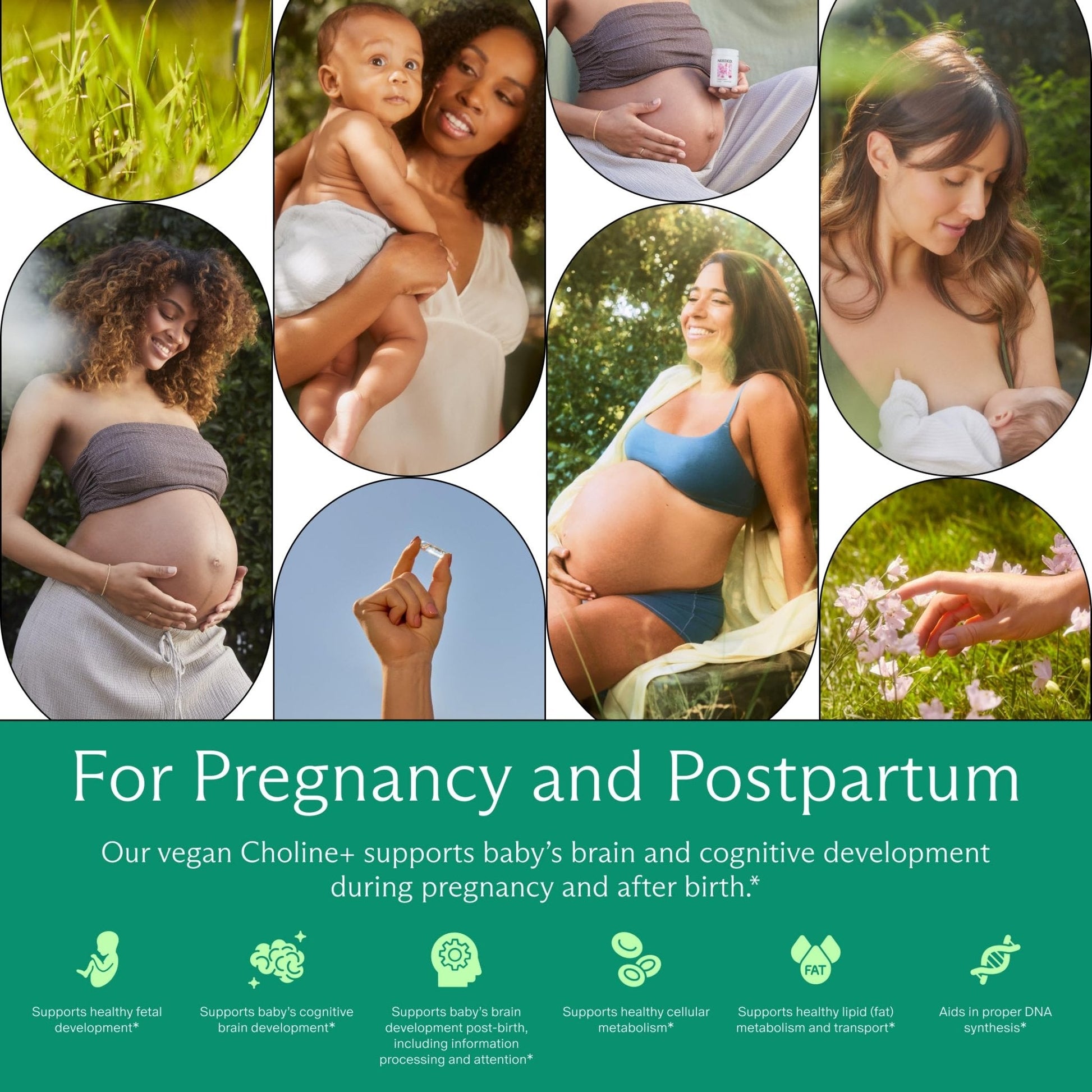 Needed. Prenatal Choline+ Liquid Capsules for Cognitive Development - Choline Supplements For Pregnancy - Aids Baby Brain Development & Supports Healthy Pregnancy - Maple Wellness Supplements