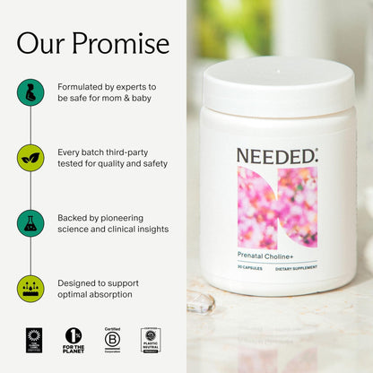 Needed. Prenatal Choline+ Liquid Capsules for Cognitive Development - Choline Supplements For Pregnancy - Aids Baby Brain Development & Supports Healthy Pregnancy - Maple Wellness Supplements