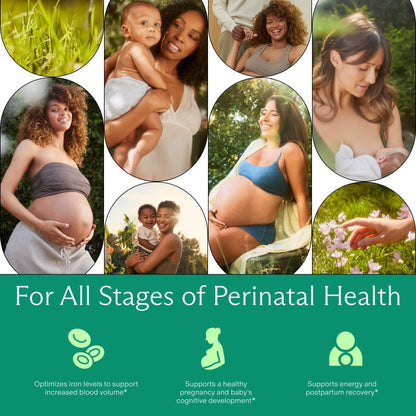 Needed. Prenatal Iron Supplement - Pregnancy, Breastfeeding, Postpartum - Aids Energy, Birth Weight & Baby's Neural Development - Maple Wellness Supplements