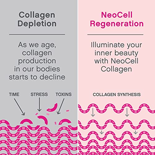 NeoCell Super Collagen Powder, Collagen Plus includes Vitamin C & Hyaluronic Acid - Maple Wellness Supplements