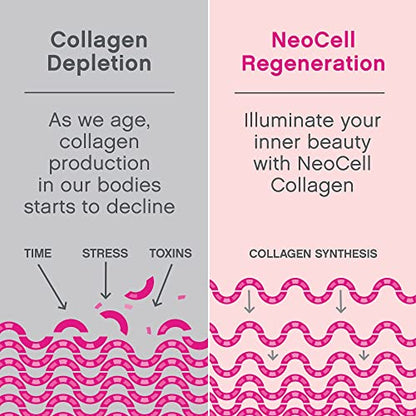 NeoCell Super Collagen Powder, Collagen Plus includes Vitamin C & Hyaluronic Acid - Maple Wellness Supplements