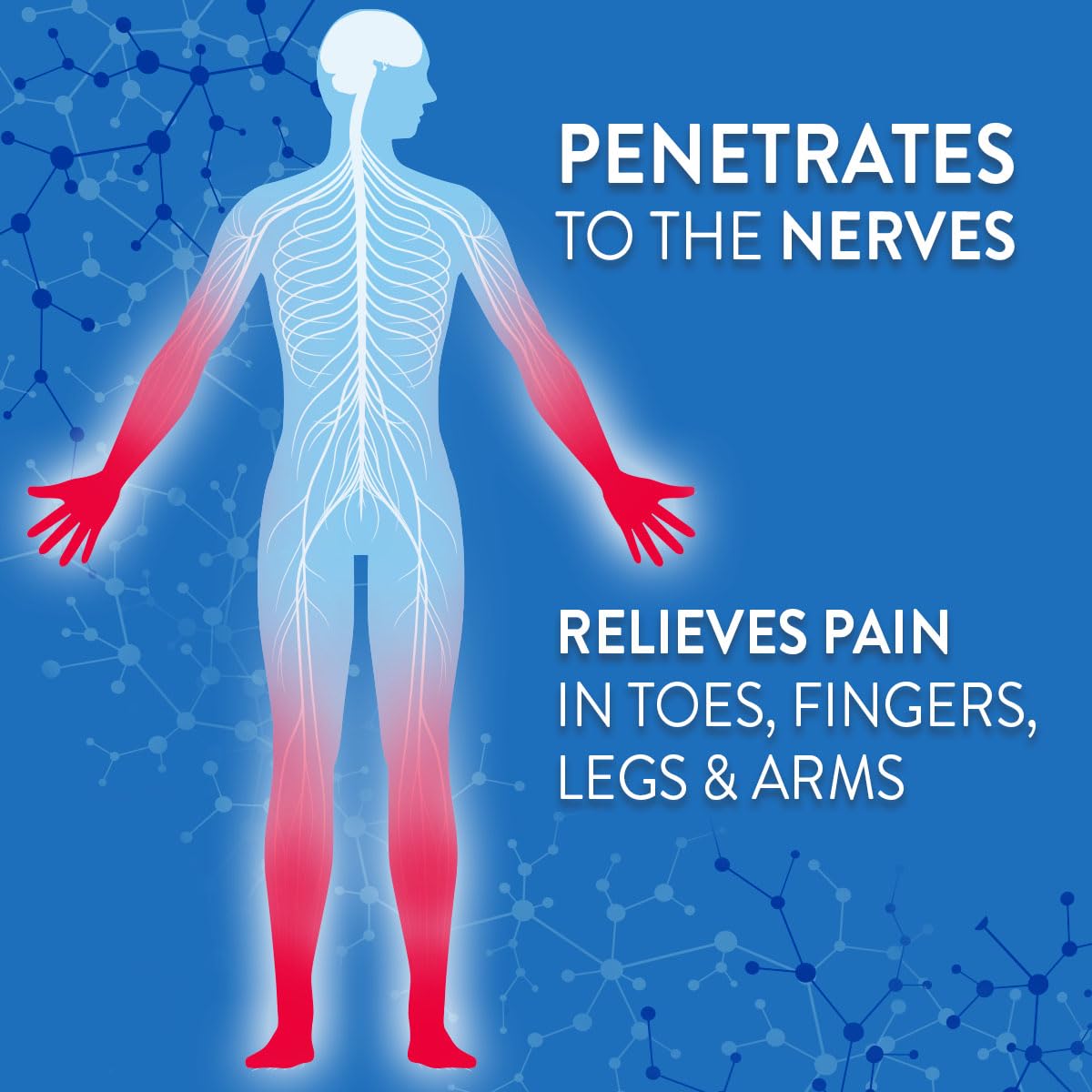 Nervive Pain Relieving Roll On, Lidocaine Roll On, Nervive Pain Relief, Lidocaine Topical, Foot Pain, Leg Pain, Hand Pain, Max Strength Formula, 4.6oz - Maple Wellness Supplements