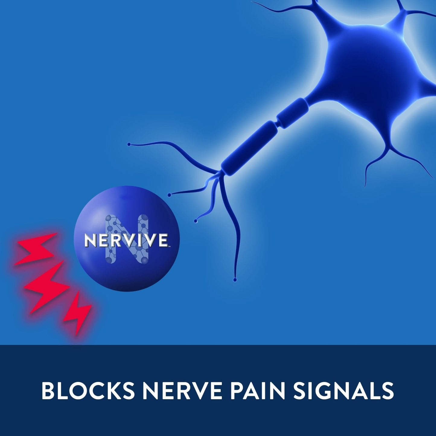 Nervive Pain Relieving Spray, Lidocaine Spray, Nervive Pain Relief, Lidocaine Topical, Foot Pain, Leg Pain, Hand Pain, Max Strength Formula, for Hard to Reach Areas, 4.5oz - Maple Wellness Supplements