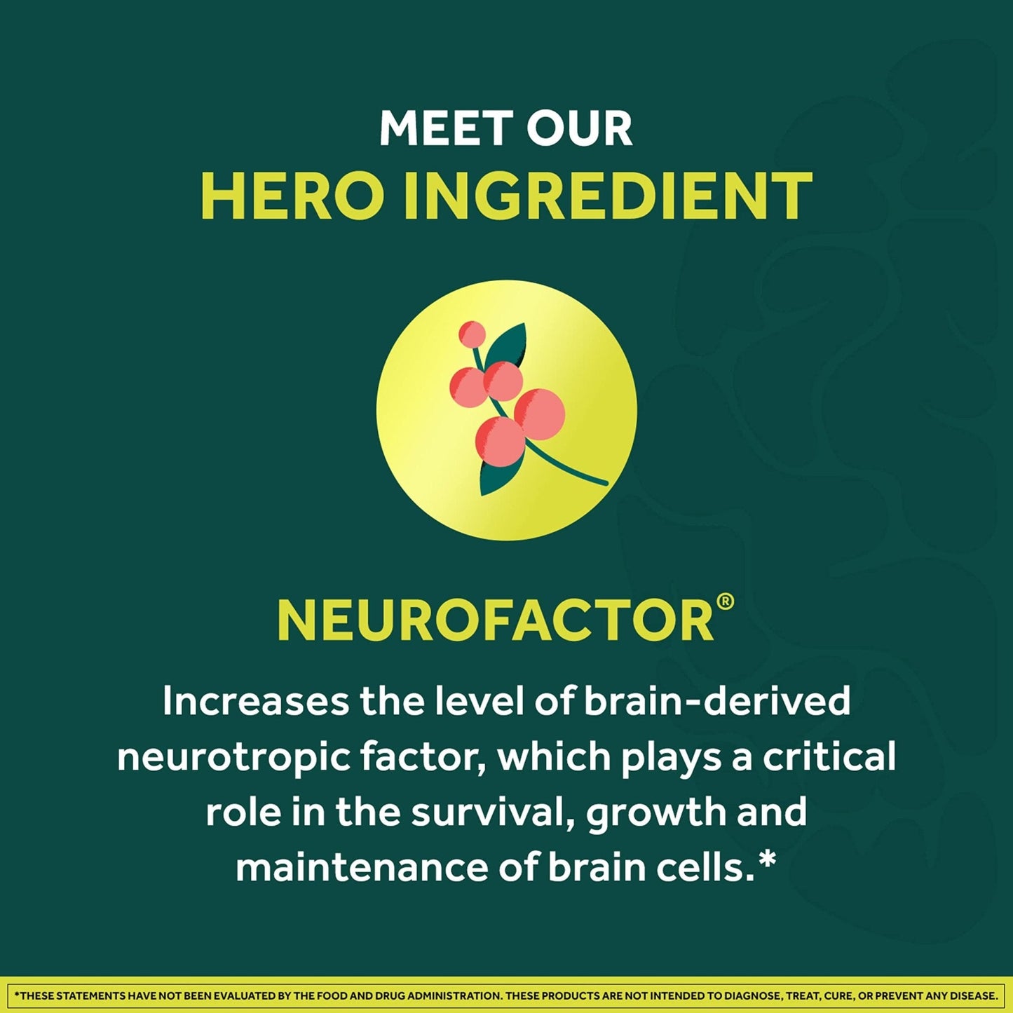 NEURIVA Brain + Energy Gummies, Nootropic Brain Supplements for Focus and Concentration with Neurofactor, Vitamin B12 & Caffeine for an Energy Boost*, 75ct Natural BlackBerry - Maple Wellness Supplements