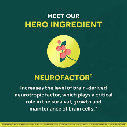 NEURIVA Brain + Energy Gummies, Nootropic Brain Supplements for Focus and Concentration with Neurofactor, Vitamin B12 & Caffeine for an Energy Boost*, 75ct Natural BlackBerry - Maple Wellness Supplements