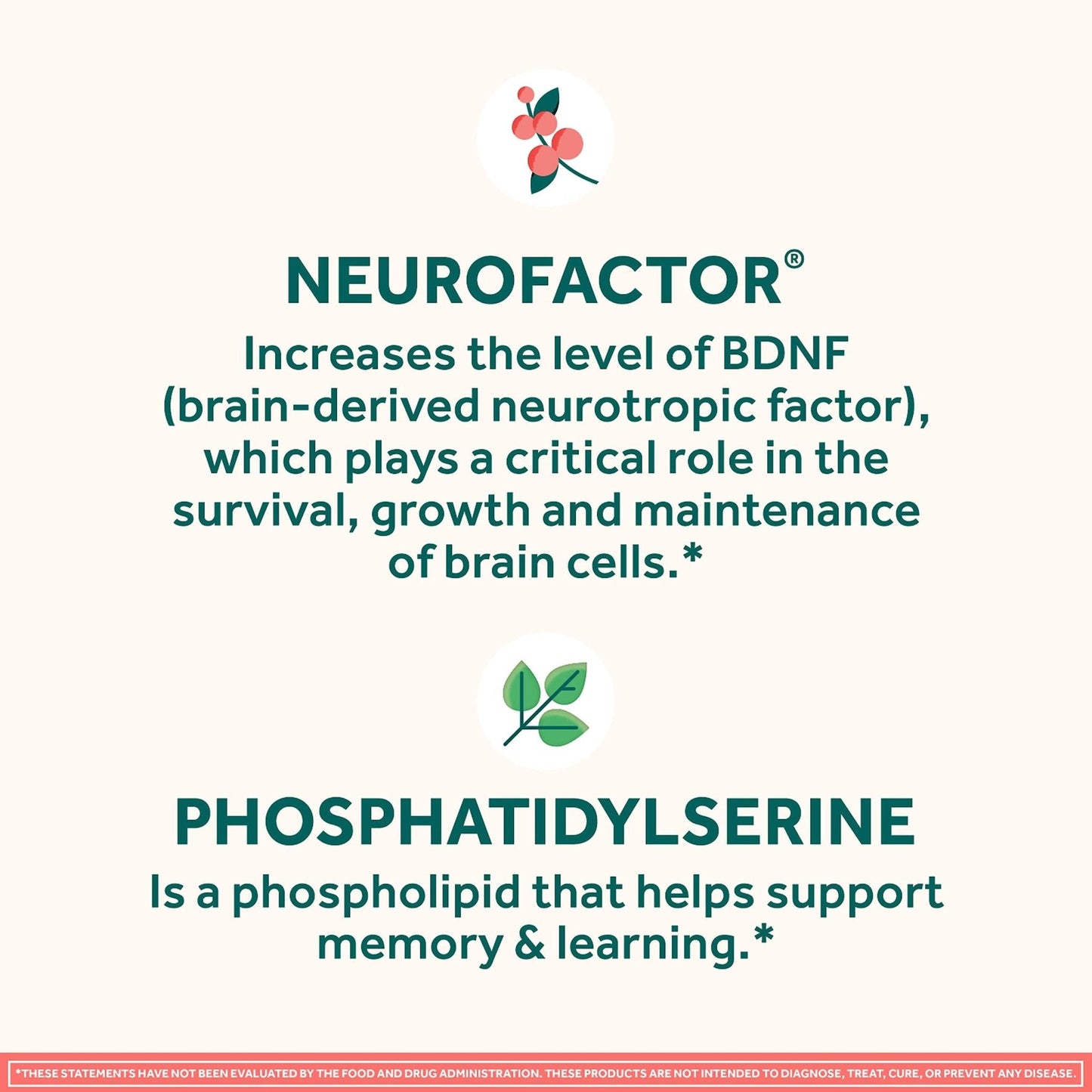 NEURIVA Original Brain Supplement for Memory, Focus & Concentration + Learning & Accuracy with Clinically Tested Nootropics Phosphatidylserine and Neurofactor, Strawberry Flavor, 50 Gummies - Maple Wellness Supplements