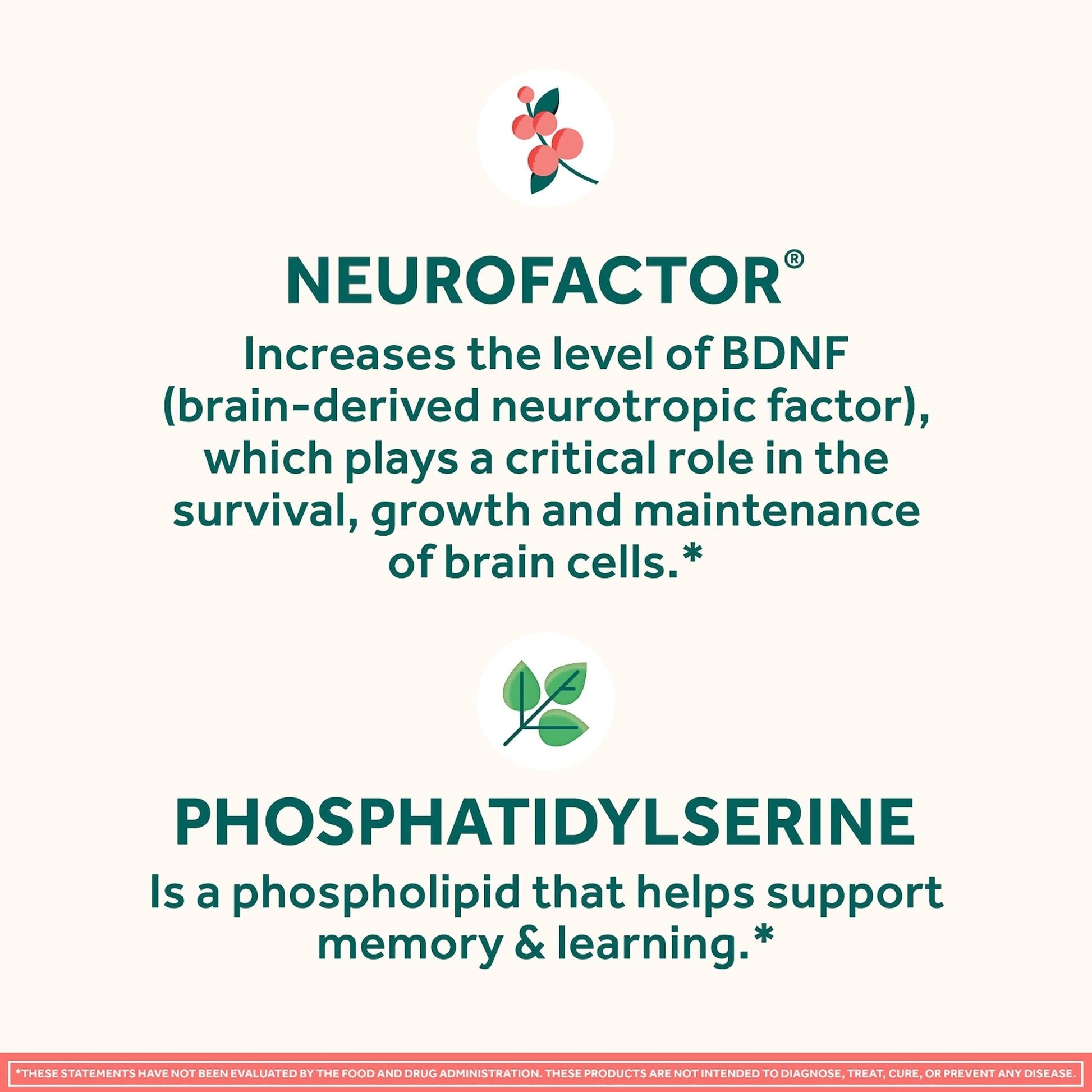 NEURIVA Original Brain Supplement for Memory, Focus & Concentration + Learning & Accuracy with Clinically Tested Nootropics Phosphatidylserine and Neurofactor, Strawberry Flavor, 50 Gummies - Maple Wellness Supplements